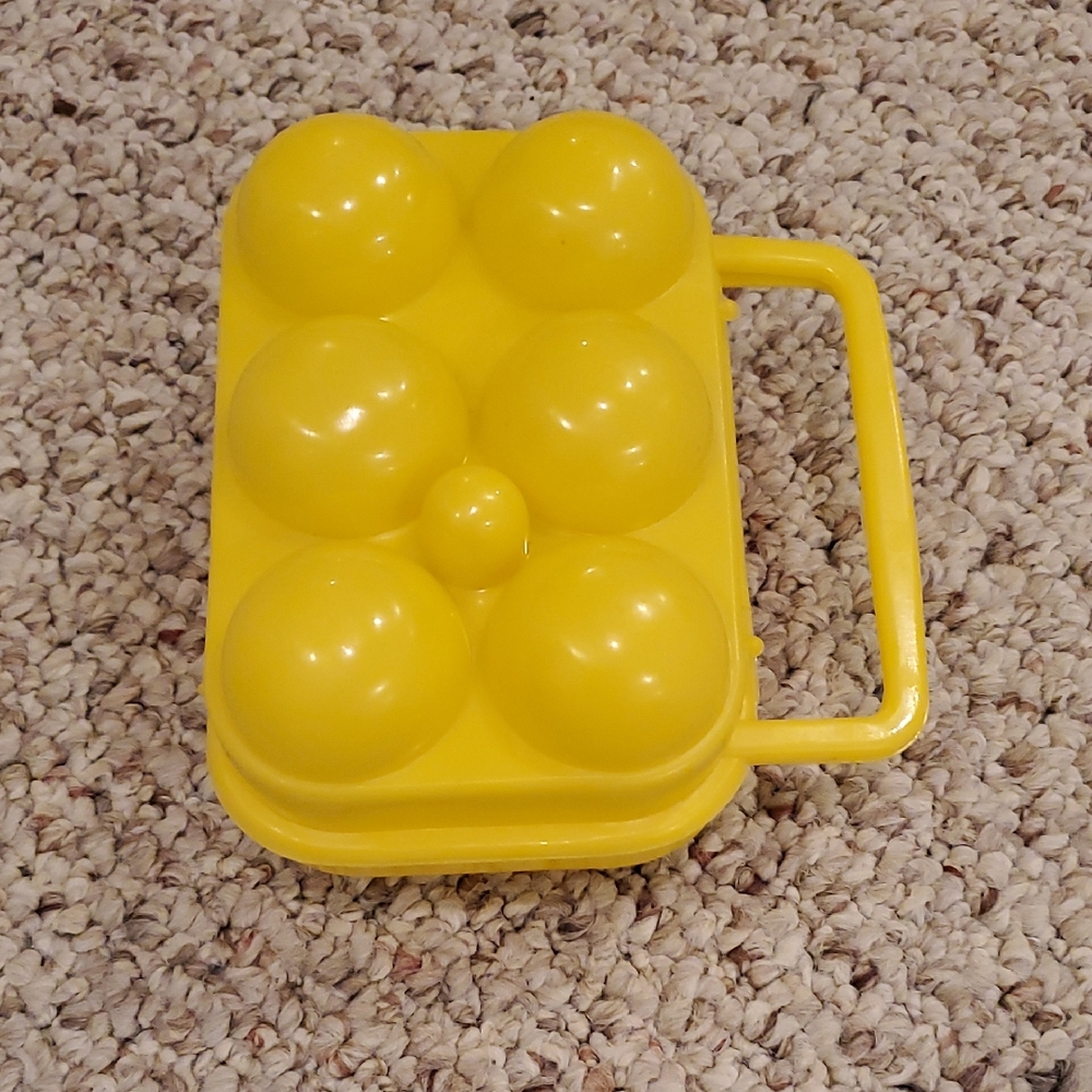Hard Plastic Egg Case/Holder